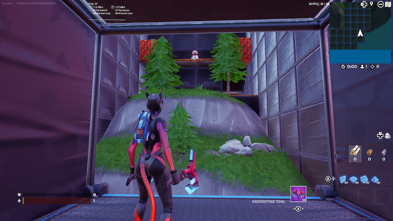 Fortnite10